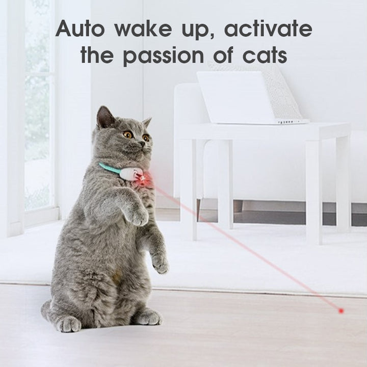 Amusing Cat Collar Pawstressisgone