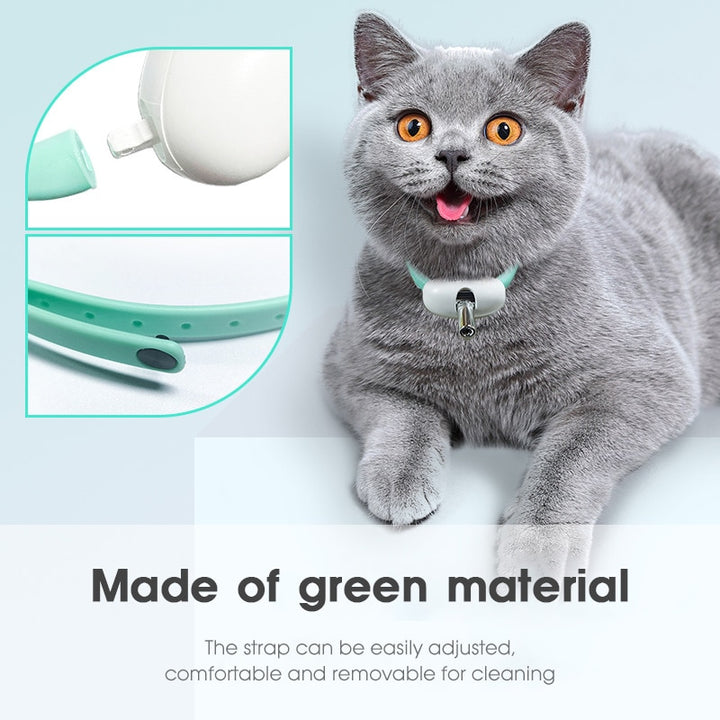 Amusing Cat Collar Pawstressisgone