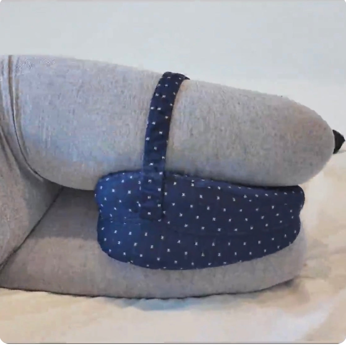 Alignment Pillow Pawstressisgone