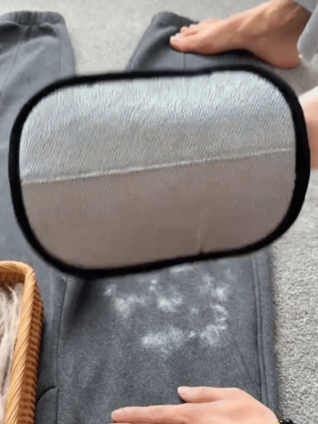 FurAway™ Pet Hair Remover HushHaven